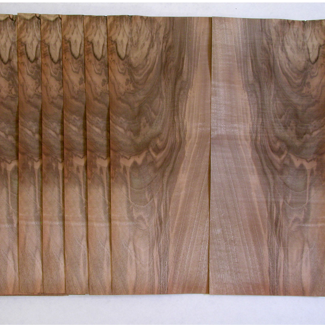 Atelier-Carole-Szwarc-Formation-en-marqueterie_Bois-de-placage